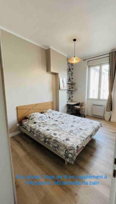 Appartement Renove Proche Du Parc De La Tete D'Or Villeurbanne Kültér fotó